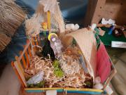 Kliknij by wejść 20201211_112207_t1.jpg