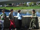 Wejdź dsc08809_t1.jpg